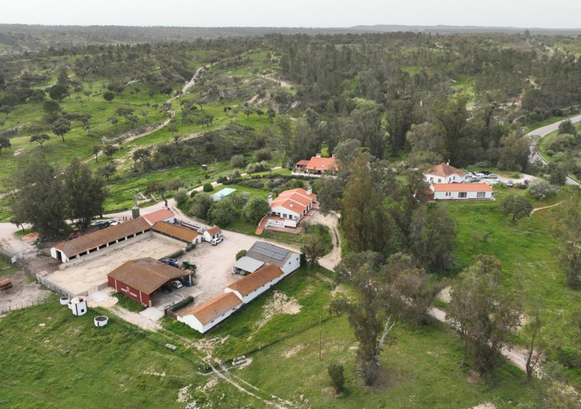 הוילה קורוצ'ה Monte Do Areeiro מראה חיצוני תמונה
